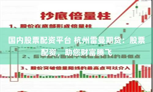 国内股票配资平台 杭州雷曼期货：股票配资，助您财富腾飞