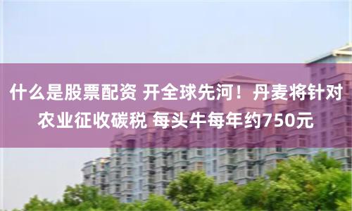 什么是股票配资 开全球先河！丹麦将针对农业征收碳税 每头牛每年约750元