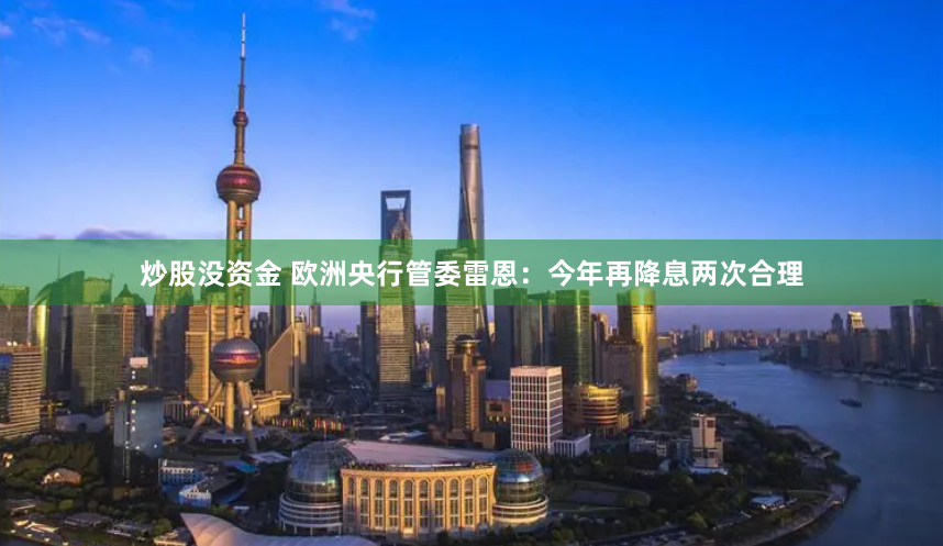 炒股没资金 欧洲央行管委雷恩：今年再降息两次合理