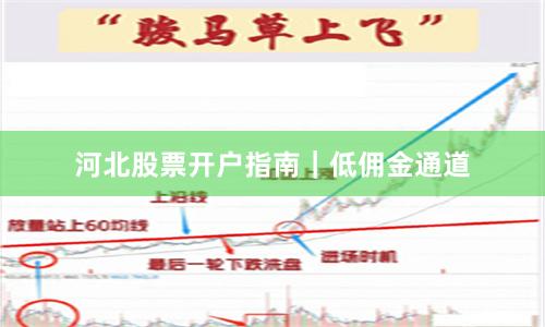 河北股票开户指南｜低佣金通道
